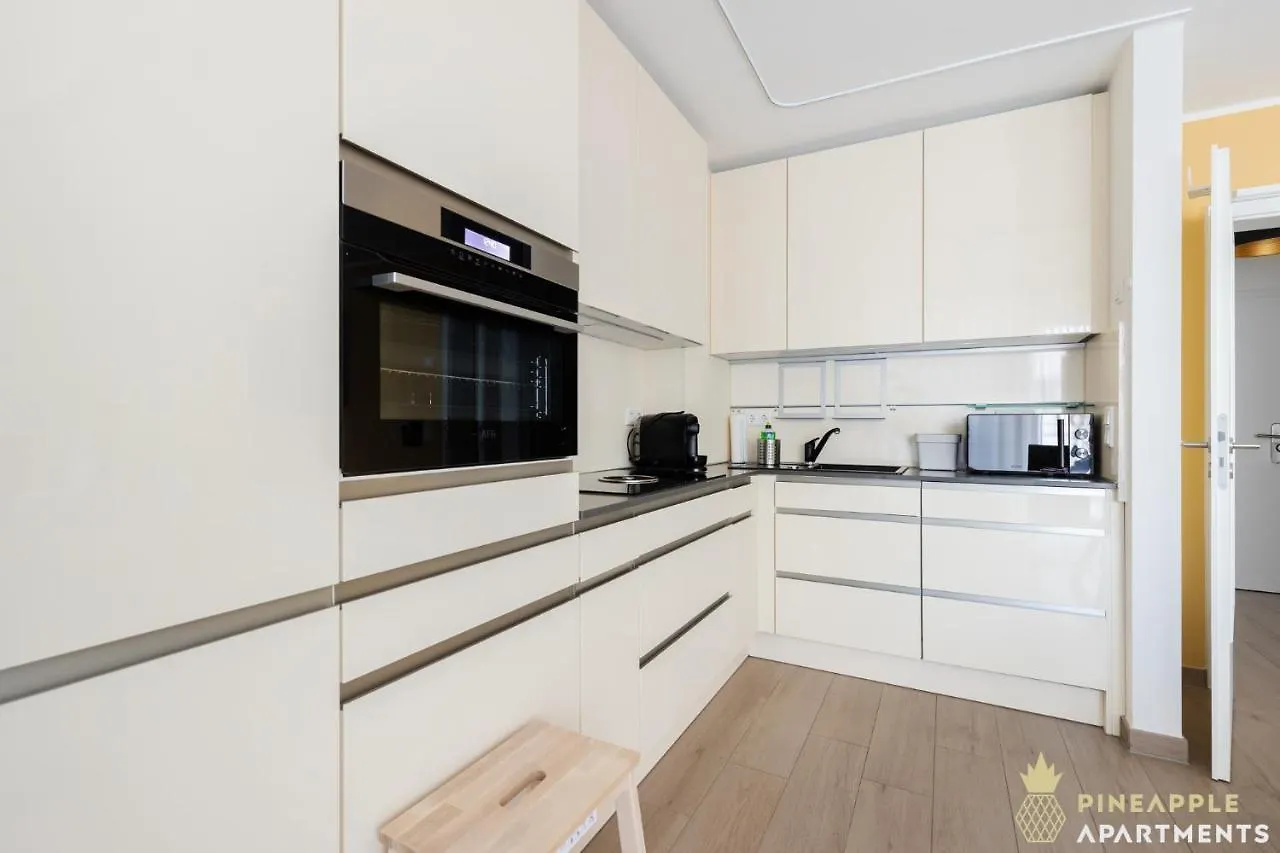 Pineapple Apartments Dresden Zwinger IX - 80 Qm - 1X Free Parking -